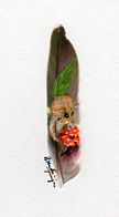 Dormouse-with-Berries