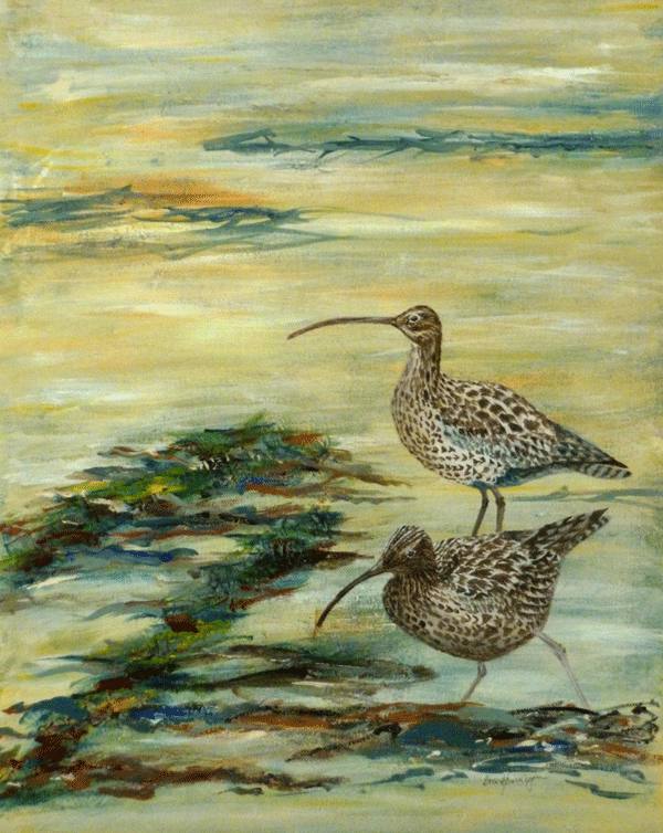 Evening-Curlews