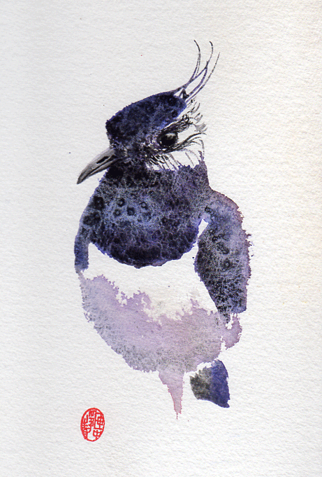 Lapwing-Chinese-Brush