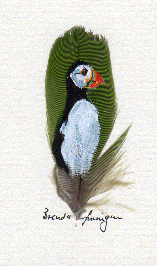 Puffin---green-feather