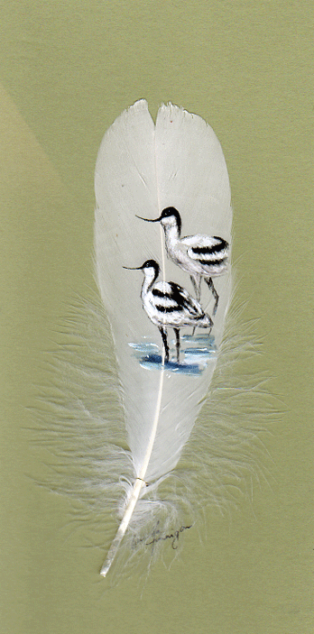 Two-Avocets