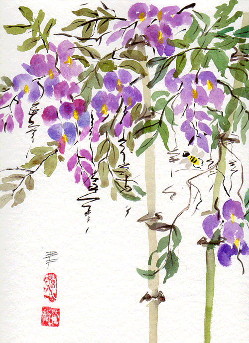 Wisteria-with-Bee