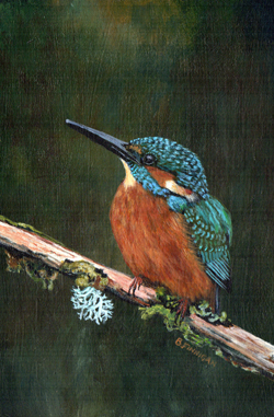 Kingfisher