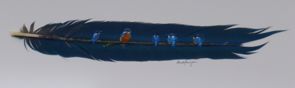 Kingfisher Family