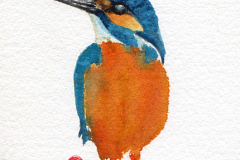 Kingfisher-Chinese-Brush-st