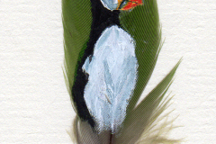 Puffin---green-feather