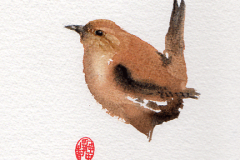 Wren-Chinese-Brush