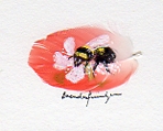 bee on bramble