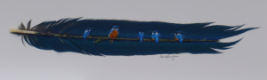 kingfishers-on-blue-feather